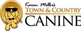 tcc_logo